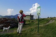 14 Al Roccolo del Tino 1870 m